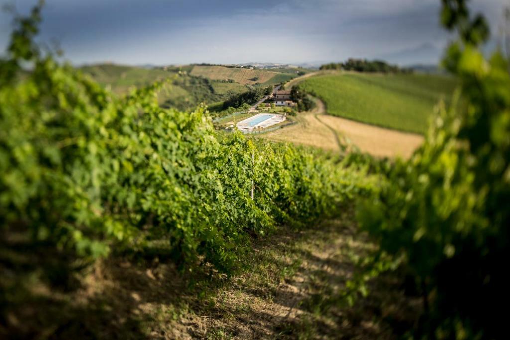 Casali Costadoro * Acquaviva Picena